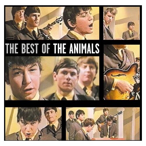 Best Of The Animals