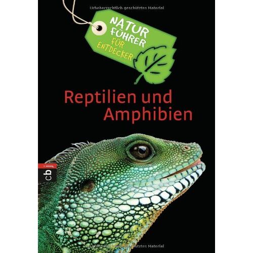Naturführer Für Entdecker – Reptilien Und Amphibien