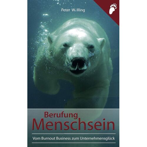 Berufung Menschsein: Vom Burnout Business Zum Unternehmensglück