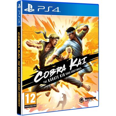 Unbekannt Cobra Kai The Karate Kid Saga Continues Unbekannt Cobra Kai The Karate Kid Saga Continues
