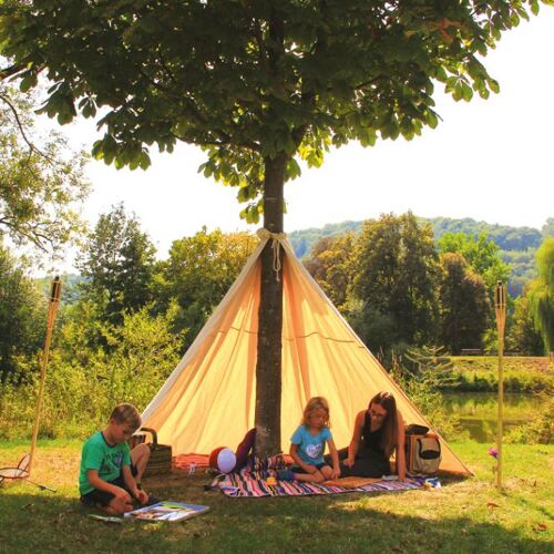 BLS Baum-Tipi