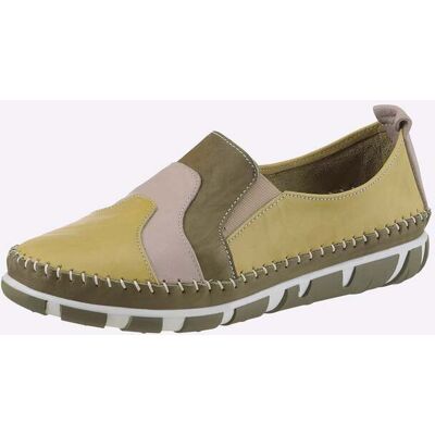 Gemini Slipper schilf 36 female Gemini Slipper schilf 36 female