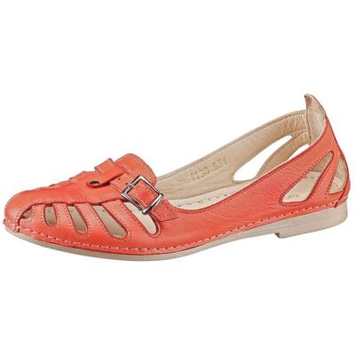 Gemini Slipper koralle 36 female Gemini Slipper koralle 36 female
