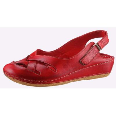 Gemini Slipper rot 40 female Gemini Slipper rot 40 female