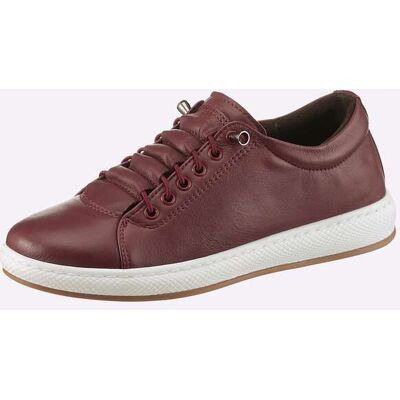 Andrea Conti Sneaker burgund 38 female Andrea Conti Sneaker burgund 38 female