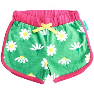 Toby Tiger Baby und Kinder Sport Shorts Gänseblümchen Gr.80 (6-12 Monate)