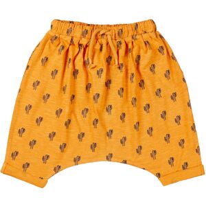 Sense Organics Baby Shorts cactus curry Gr.86 (12-18 Monate) Sense Organics Baby Shorts cactus curry Gr.86 (12-18 Monate)