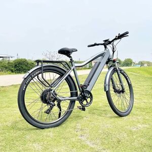 Eu Stock Electric Bicycle Elektrofahrrad 29 * 2,1 Zoll Reifen 500 W Starke Leistung 15 Ah Lithiumbatterie 110 Km Reichweite Citybike