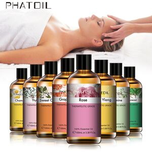 Phatoil 100 Ml Rosen-Vanille-Lavendel-Duftöl Für Diffusor, Baden, Hautpflege, Luftreiniger, Pfefferminze, Eukalyptus, Teebaum, Reines Ätherisches Öl