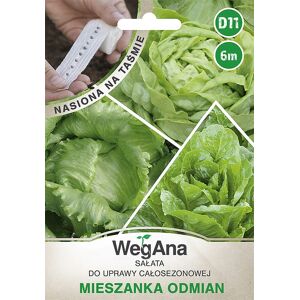 Salat, Eine Mischung Aus Grünen Sorten, Samen Auf Einem 6 M Langen Band, Salatsamen - Wegana