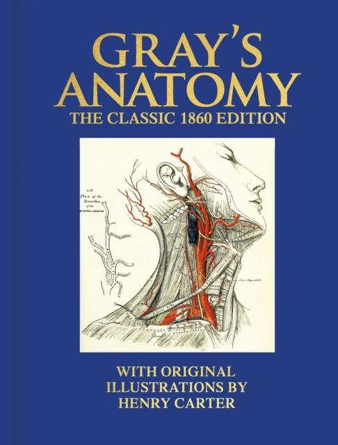 Lavishlivings2 Grey'S Anatomy - Die Wunderbare Welt Der Filme : Die Klassische Ausgabe Von 1860 Mit Originalillustrationen Von Henry Carter