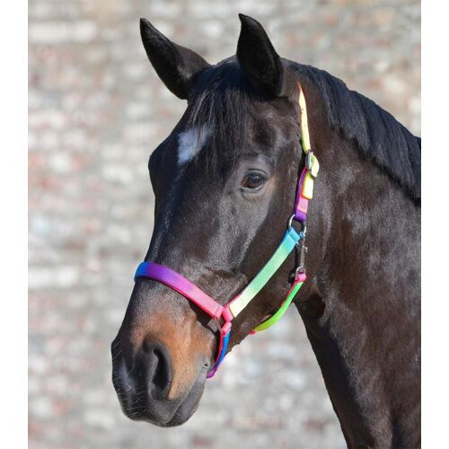 WALDHAUSEN Regenbogen Halfter regenbogen Pony