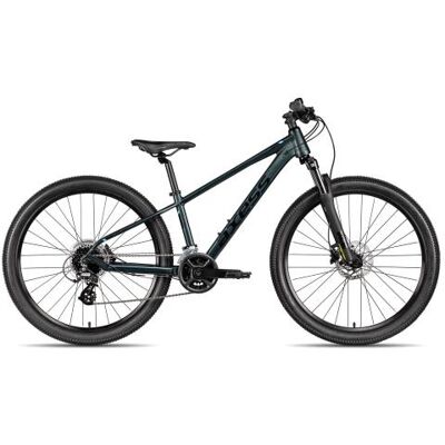 Axess Stipe 26 Pro prism green matt/cyan black 33 cm Hardtail-Mountainbikes Axess Stipe 26 Pro prism green matt/cyan black 33 cm Hardtail-Mountainbikes