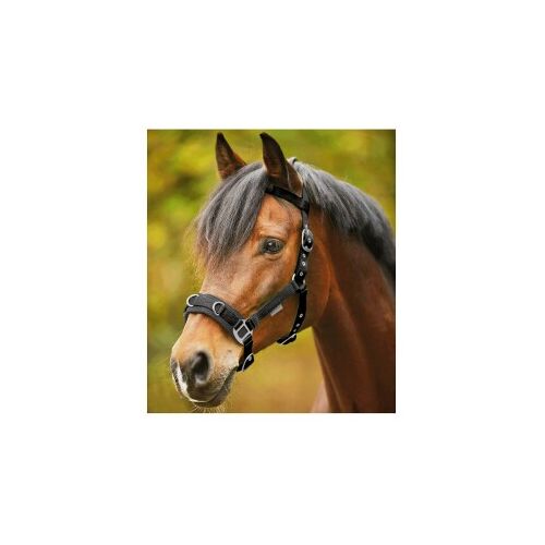 Waldhausen GmbH Waldhausen Kappzaum Economic WB (Warmblut)