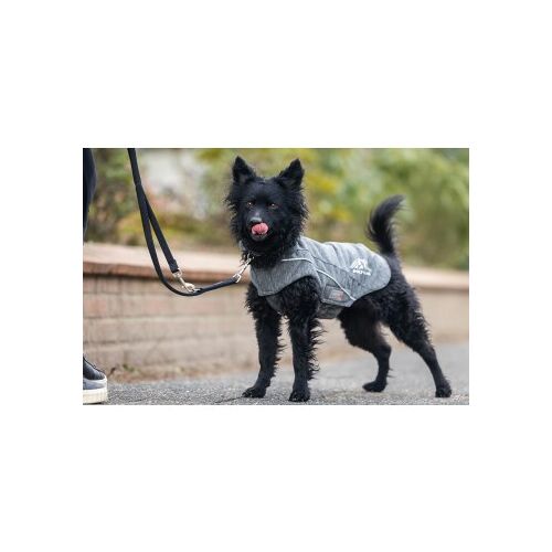 Wolters Fleecejacke Dogz-Wear, Hundejacke grau 40 cm