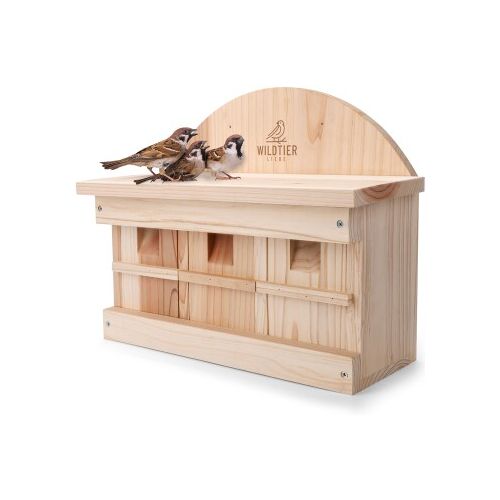 wildtier liebe Spatzen Nistkasten