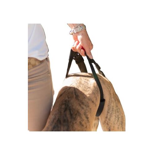 HerzensTier Geh- und Tragehilfe L