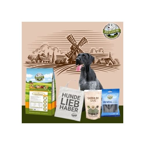 Bellfor Deutsch Drahthaar Futter Set