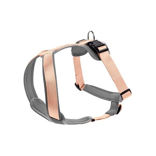 Hunter Geschirr Neopren orange/ grau L