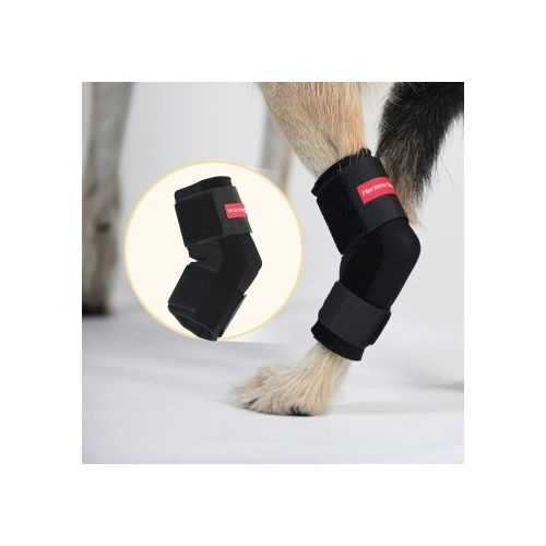 HerzensTier Sprunggelenkbandage Neopren XXL