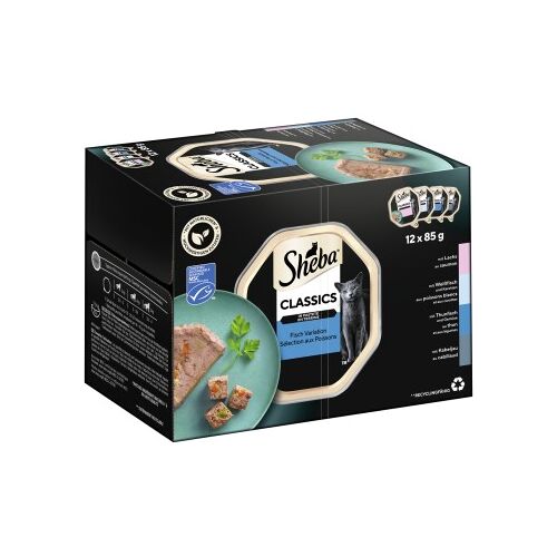 Sheba Classics in Pastete 12x85g