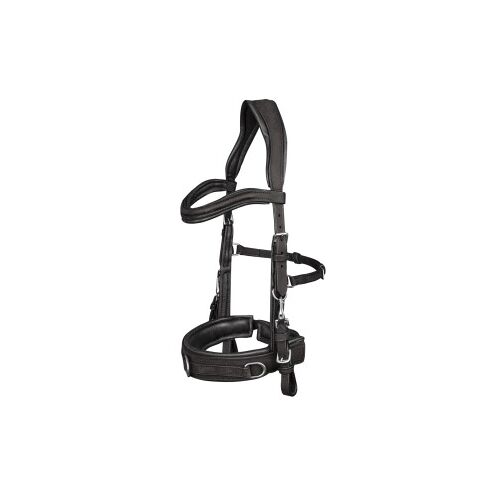 Waldhausen GmbH Waldhausen Kappzaum Anatomic schwarz VB/ COB (Vollblut)