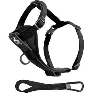 Kurgo Tru-Fit Smart Hundegeschirr - Verstellbar, Reflektierend, Für Auto & Spaziergänge Kurgo Tru-Fit Smart Hundegeschirr - Verstellbar, Reflektierend, Für Auto & Spaziergänge