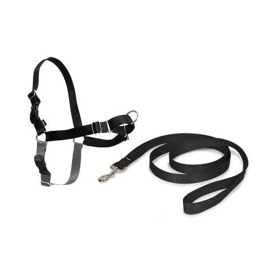 PetSafe Easy Walk Anti-Zieh-Hundegeschirr schwarz S PetSafe Easy Walk Anti-Zieh-Hundegeschirr schwarz S