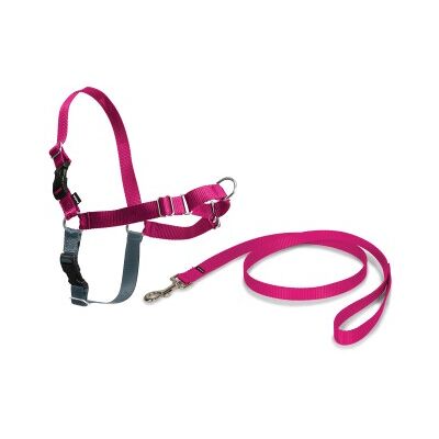 Easy Walk Anti-Zieh-Hundegeschirr himbeere M Easy Walk Anti-Zieh-Hundegeschirr himbeere M