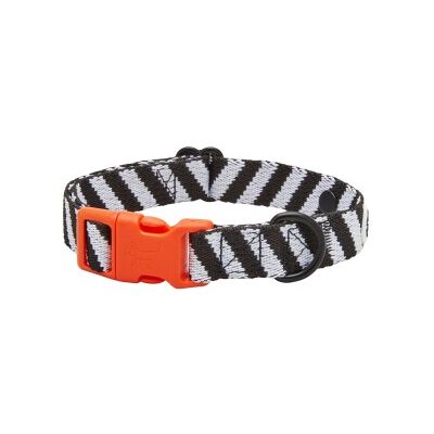 BARKALOT Recycling Kunststoff Hundehalsband - Verstellbar Größen BARKALOT Recycling Kunststoff Hundehalsband - Verstellbar Größen