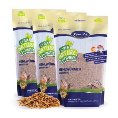 Lyra Pet Mehlwürmer getrocknet 3x1 kg Lyra Pet Mehlwürmer getrocknet 3x1 kg