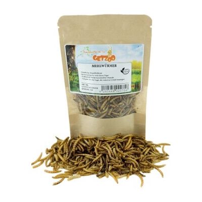 Getzoo Mehlwürmer 25g Getzoo Mehlwürmer 25g