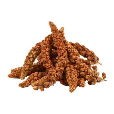 Lyra Pet Kolbenhirse rot 15 kg Lyra Pet Kolbenhirse rot 15 kg