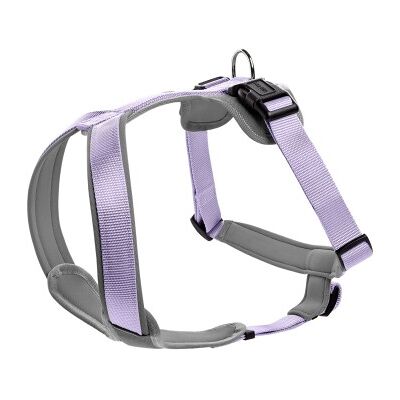 Lavendel/Grau Hundegeschirr - Hundegeschirr Lavendel/Grau Hundegeschirr - Hundegeschirr