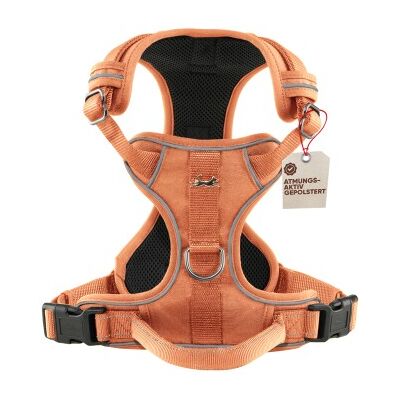 Freudentier Hundegeschirr mit Mesh-Polsterung M Freudentier Hundegeschirr mit Mesh-Polsterung M