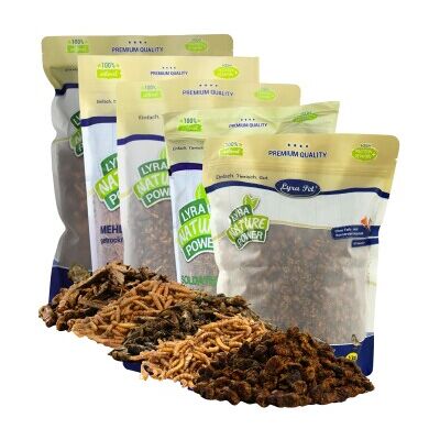 Lyra Pet Insekten Probier Mix getrocknet Lyra Pet Insekten Probier Mix getrocknet
