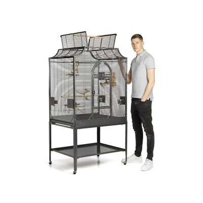 Montana Furniture - Madeira III Antik - Schwarz - Bird Cage Montana Furniture - Madeira III Antik - Schwarz - Bird Cage
