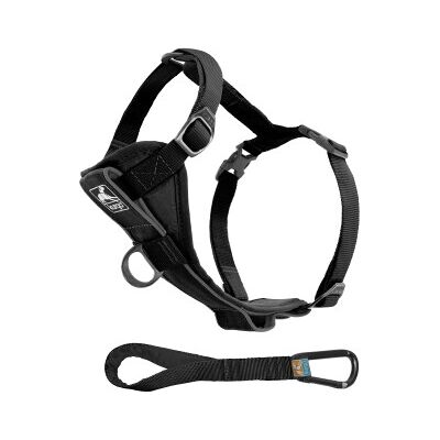 Kurgo Tru-Fit Smart Hundegeschirr - Verstellbar, Reflektierend, Für Auto & Spaziergänge Kurgo Tru-Fit Smart Hundegeschirr - Verstellbar, Reflektierend, Für Auto & Spaziergänge