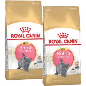 ROYAL CANIN British Shorthair Kitten 2x10 kg