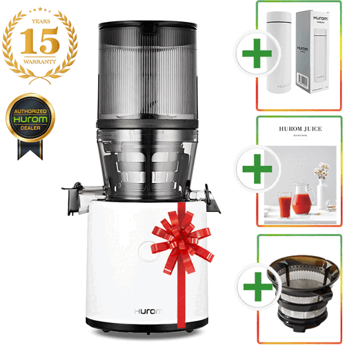 Hurom H-320N Entsafter - Model 2026