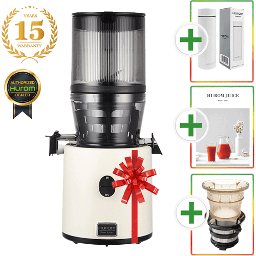 Hurom H330P Entsafter + Eissieb Modell 2026