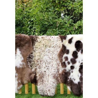 Hollert Lammfell Englisch gescheckt 120-130 - Lambskin Hollert Lammfell Englisch gescheckt 120-130 - Lambskin