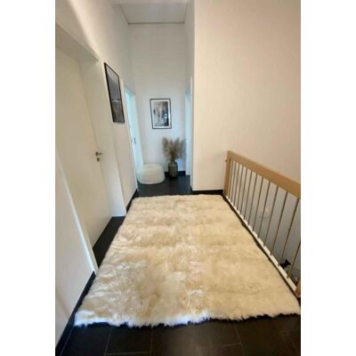 Hollert Lammfell Teppich Merino Champagner 200 x 200 cm Hollert Lammfell Teppich Merino Champagner 200 x 200 cm