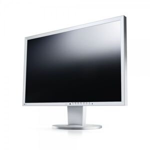 Eizo FlexScan EV2436WFS-GY LED IPS 24 Zoll Full-HD 1920x1200 DisplayPort DVI VGA Lichtgrau