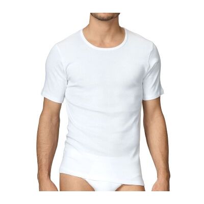 Calida Cotton 1 T-Shirt 14310 Weiß 001 Baumwolle Small Herren Calida Cotton 1 T-Shirt 14310 Weiß 001 Baumwolle Small Herren