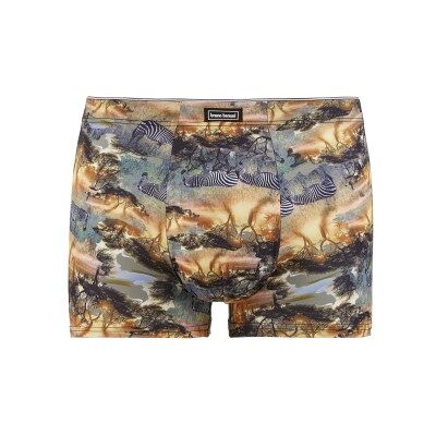 Bruno Banani Golden Africa Short Mixed Polyester Small Herren Bruno Banani Golden Africa Short Mixed Polyester Small Herren