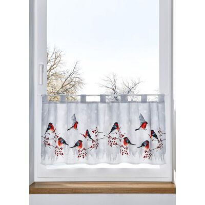 bonprix Blickdichte Scheibengardine aus Microfaser - rot - Size: 1 (H/B: 30/90 cm) bonprix Blickdichte Scheibengardine aus Microfaser - rot - Size: 1 (H/B: 30/90 cm)