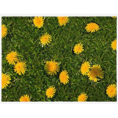 bonprix Fußmatte - Löwenzahndruck - Frühlingsmatte bonprix Fußmatte - Löwenzahndruck - Frühlingsmatte