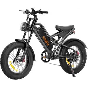 AILIFE X20B Elektrofahrrad, 20*4,0 Zoll dicke Reifen, 1000W Motor, 48 km/h, 100 km max. Reichweite  - Schwarz