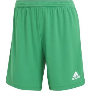 Adidas Entrada 22 Shorts grün - Fußballshorts Adidas Entrada 22 Shorts grün - Fußballshorts